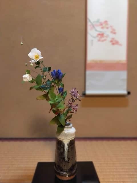 生徒さんのお庭の秋明菊とほととぎす、リンドウ、ヒペリカムをいけた秋の茶花。床の間に季節の花を飾る茶道教室結空の茶室風景。