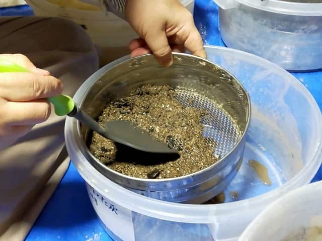 灰のいらない不純物を取り除くため、ふるいにかけている手元の様子