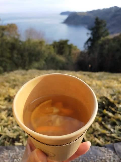 江之浦測候所「Stone Age Café」で提供される柑橘ティー。海を見下ろしながら味わう至福の一杯。